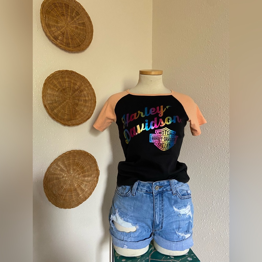 Harley-Davidson | Colorblock Tee With Rainbow Lettering - Picture 4 of 6